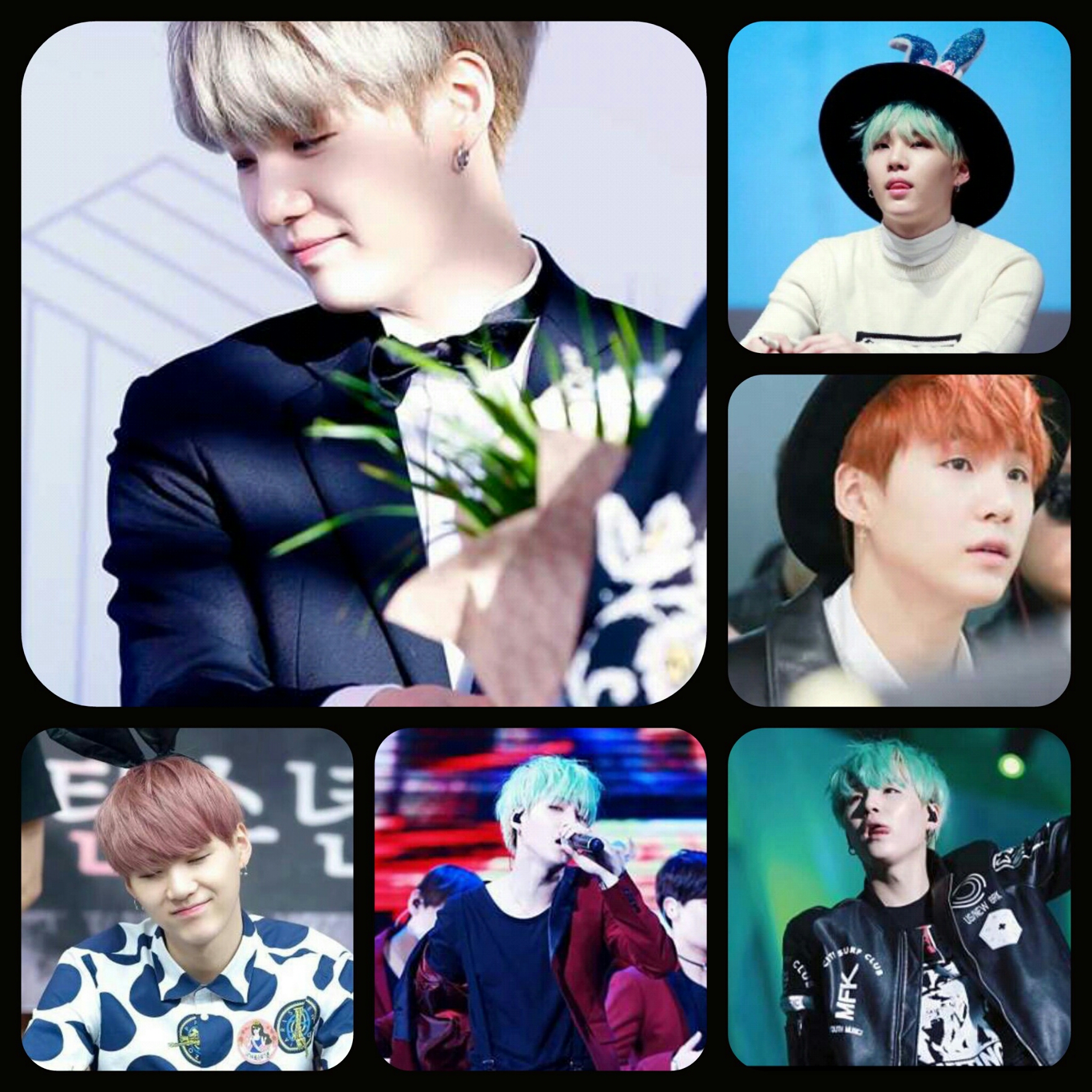 Resultado de imagen para suga mosaico