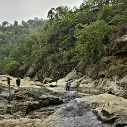 nature photography monsoon